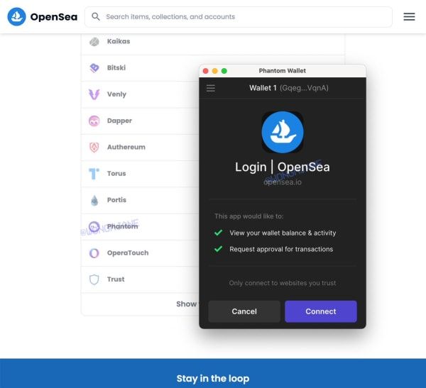 🌅OpenSea could be Adding Solana NFTs, Phantom Wallet Support: Leaked Images