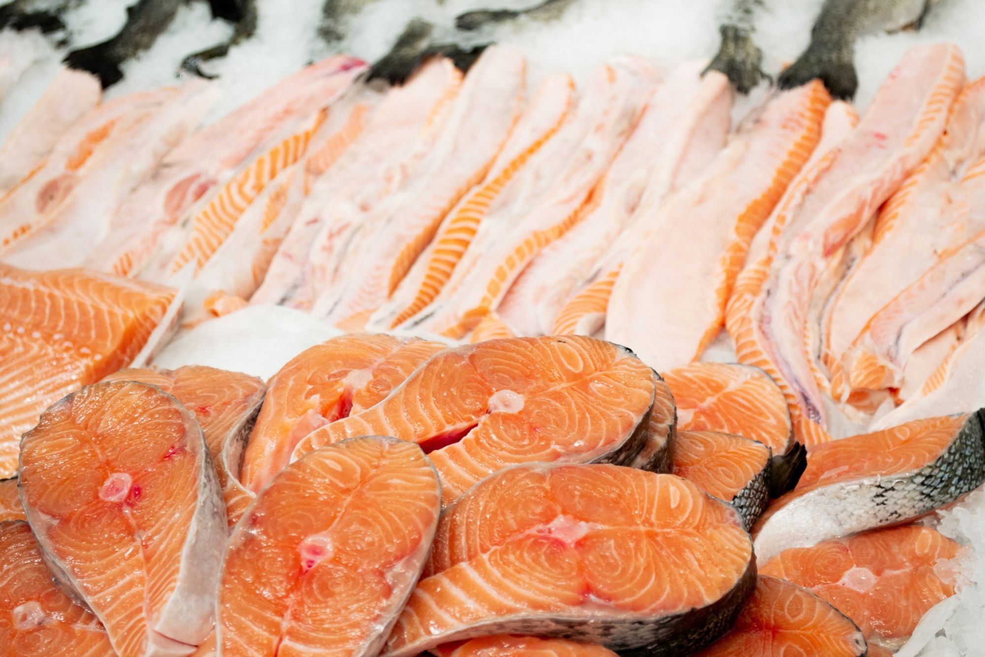 🐠Norwegian Salmon Farmers to Pay $85 Million Settlement in Price-Fixing Lawsuit